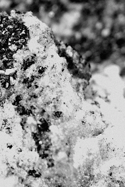 A Pregnant Light : A Pregnant Light - Deeper Wells